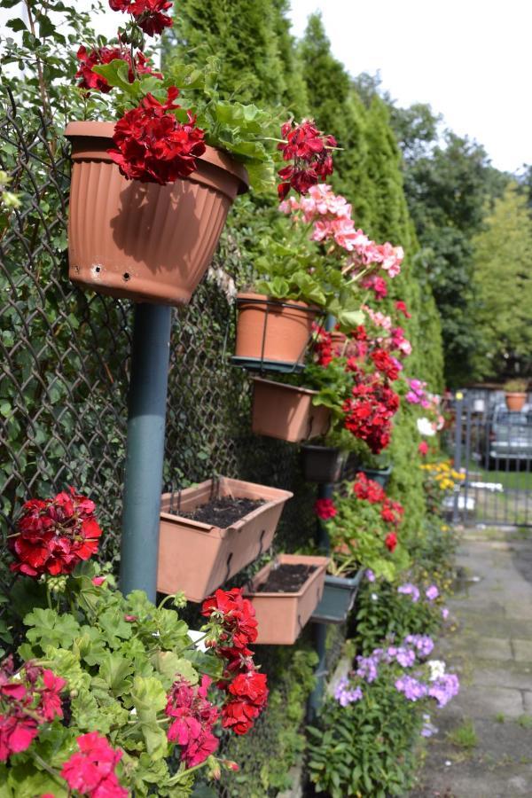 Warszawa Stare Bielany Bed & Breakfast ภายนอก รูปภาพ